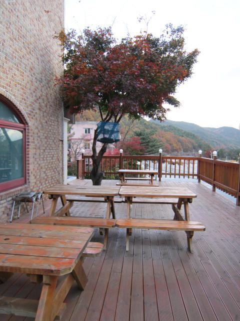 Songwol Park Motel Sokcho Ngoại thất bức ảnh